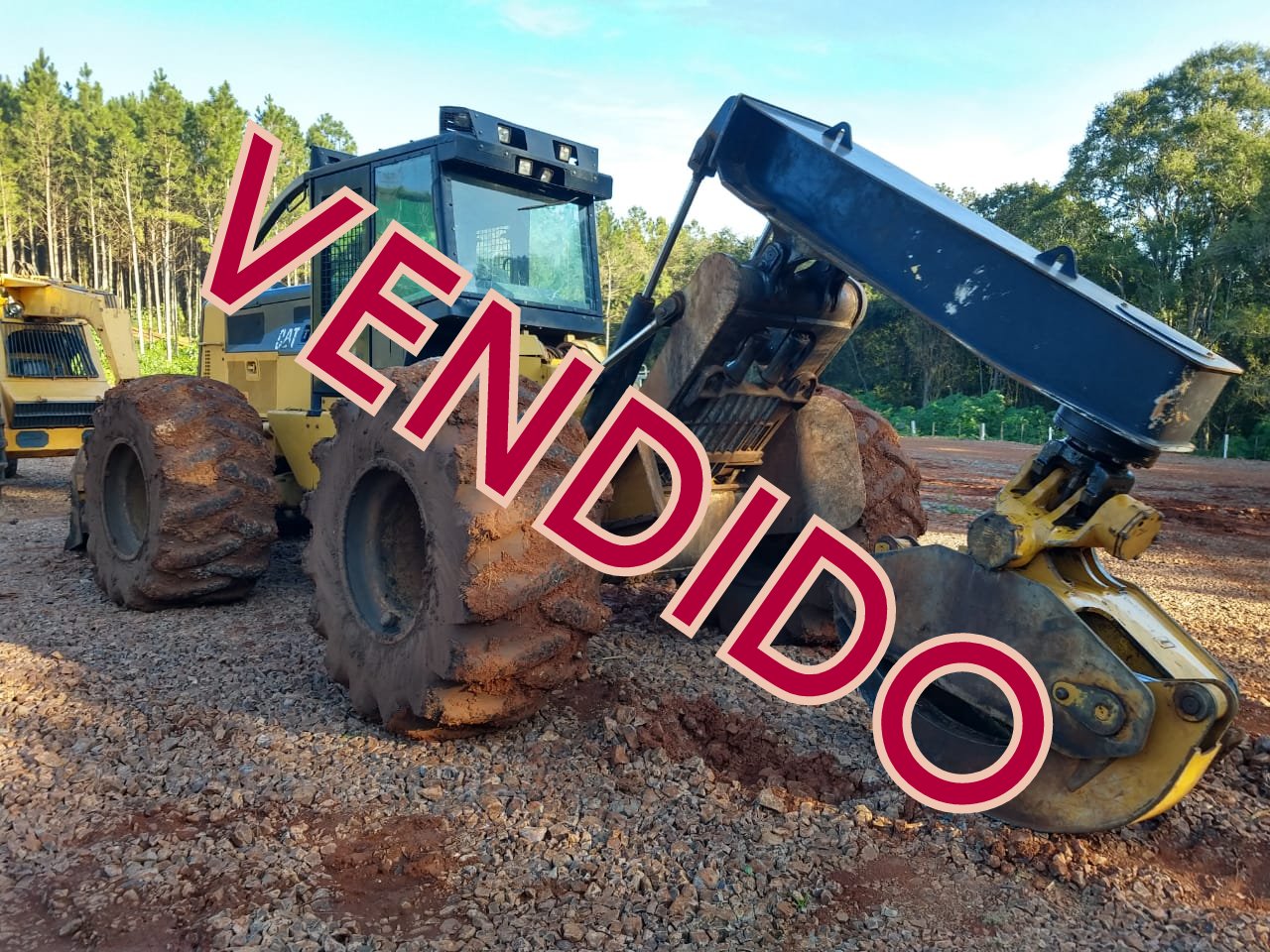 SKIDDER CATERPILLAR